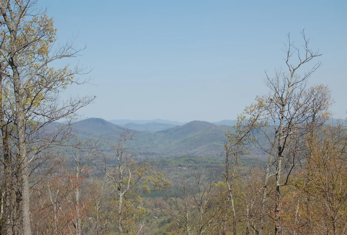 A sweeping view of a mountain range surrounded by trees and vast landscape. The tranquil scene evokes the sense of adventure and serenity described in the section, ideal for nature walks and relaxation with pets.