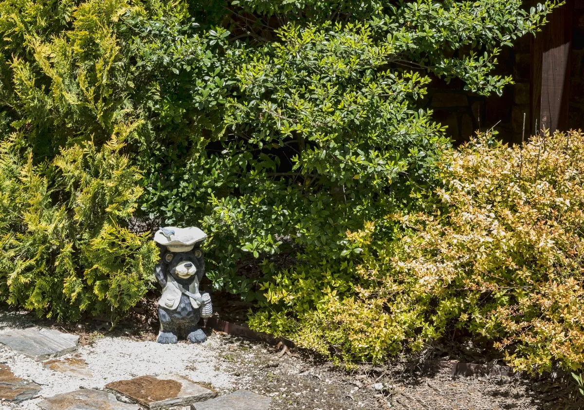 An exterior shot of a playful garden area with a gnome statue, green shrubs, and a light stone path. The inviting landscaping hints at ample space for walks and outdoor activity, perfect for leashed pets.